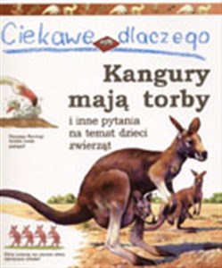 Bild von Ciekawe dlaczego kangury mają torby