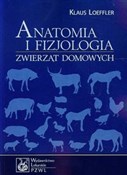 Anatomia i... - Klaus Loeffler - buch auf polnisch 