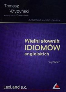 Obrazek Wielki słownik idiomów angielskich