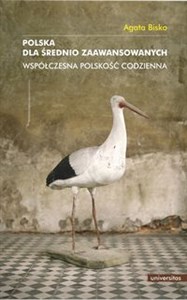 Obrazek Polska dla średnio zaawansowanych Współczesna polskość codzienna