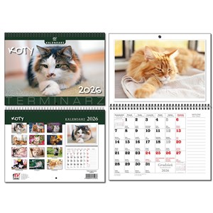 Bild von Kalendarz 2026 A3 Terminarz 13 planszowy Koty