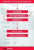 Polska książka : Prawo w di... - Maciej Czajka, Andrzej Światłowski
