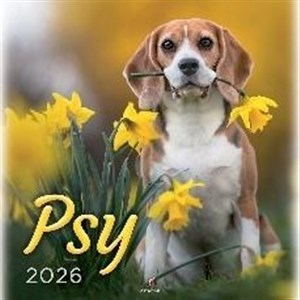Bild von Kalendarz 2026 wieloplanszowy 33x33cm Psy