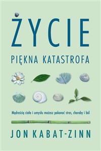 Bild von Życie, piękna katastrofa Mądrością ciała i umysłu możesz pokonać stres, choroby i ból