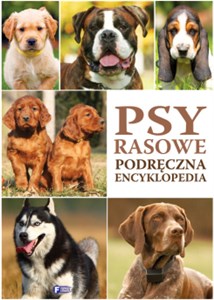 Obrazek Psy rasowe Podręczna encyklopedia