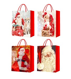 Bild von Torebki prezentowe BN 12 sztuk mix wzorów JYWK 3837 L