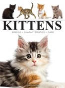 Kittens - David Alderton - Ksiegarnia w niemczech