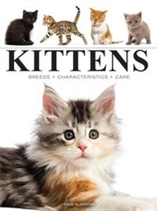 Obrazek Kittens