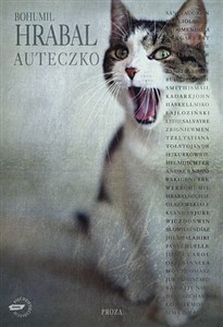 Obrazek Auteczko