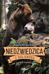 Bild von Niedźwiedzica z Baligrodu i inne historie Kazimierza Nóżki