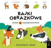 Polnische buch : Bajki obra... - Patrycja Wojtkowiak-Skóra