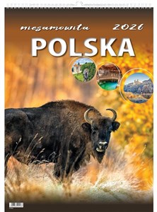 Bild von Kalendarz 2026 wieloplanszowy niesamowita Polska