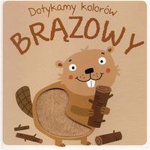 Obrazek Dotykamy kolorów Brązowy