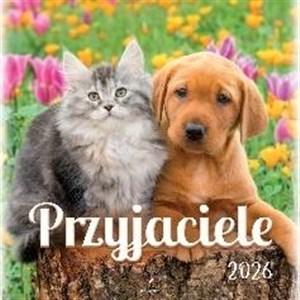 Bild von Kalendarz 2026 wieloplanszowy 33x33cm Przyjaciele