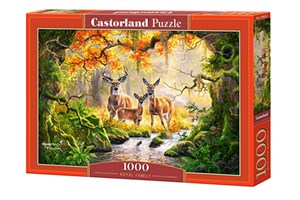 Obrazek Puzzle 1000 Royal Family