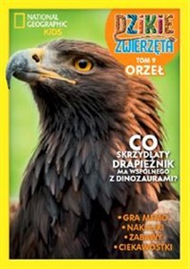 Bild von Dzikie Zwierzęta 9 Orzeł