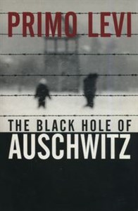 Obrazek The Black Hole of Auschwitz