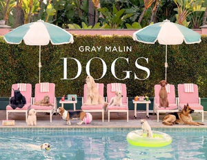 Bild von MALIN, G: BEACHES