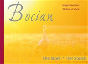 Bild von Bocian