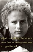 What Is It... - Art Garfunkel -  polnische Bücher