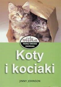 Bild von Koty i kociaki