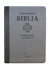 Obrazek Ilustrowana Biblia pierwszego Kościoła, szara