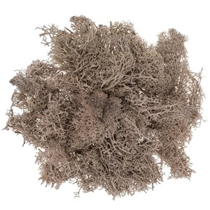 Obrazek Mech brązowy 30g