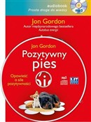 Polska książka : [Audiobook... - Jon Gordon