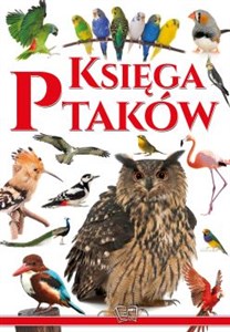 Bild von Księga ptaków