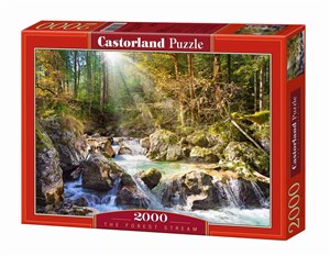 Obrazek Puzzle The forest stream 2000