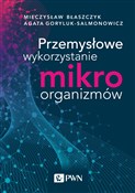 Przemysłow... - Mieczysław Kazimierz Błaszczyk, Agata Goryluk-Salmonowicz -  Książka z wysyłką do Niemiec 