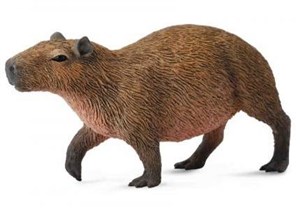 Obrazek Kapibara M