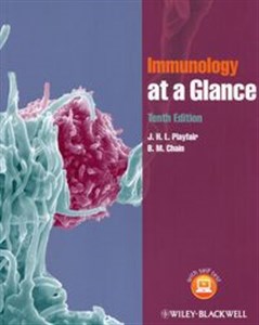 Obrazek Immunology at a Glance