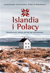 Bild von Islandia i Polacy Historie tych, którzy nie bali się zaryzykować