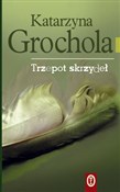 Polska książka : Trzepot sk... - Katarzyna Grochola