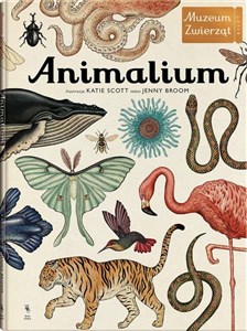 Bild von Animalium Muzeum zwierząt