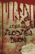 Złodziej d... - J. T. Ellison -  fremdsprachige bücher polnisch 