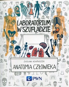 Bild von Laboratorium w szufladzie Anatomia człowieka