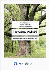 Bild von Drzewa Polski