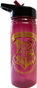 Obrazek Bidon 600ml Harry Potter PP HP91553