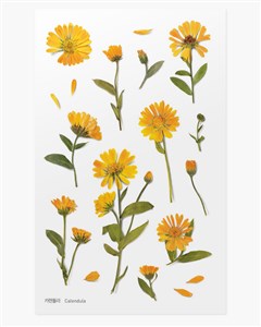 Bild von Naklejki ozdobne kwiaty Nagietek artystyczne scrapbooking rękodzieło