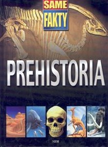 Bild von Prehistoria