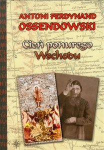 Bild von Cień ponurego Wschodu