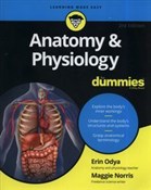 Anatomy an... - Erin Odya, Maggie A. Norris -  polnische Bücher