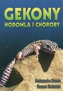 Obrazek Gekony Hodowla i choroby