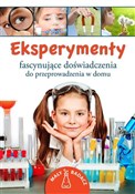 Polska książka : Eksperymen... - Marcin Paweł Sadowski, Elżbieta Maria Jamrozy