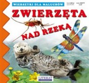 Polnische buch : Zwierzęta ... - Joanna Paruszewska, Katarzyna Stocka