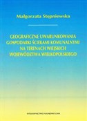 Polnische buch : Geograficz... - Małgorzata Stępniewska