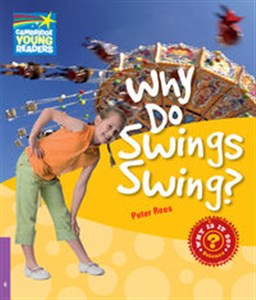 Bild von Why Do Swings Swing? Level 4 Factbook