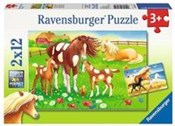 Puzzle Lat... - Ksiegarnia w niemczech